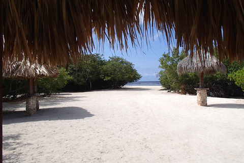 Aruba: excursion de plongée en apnée sur la plage