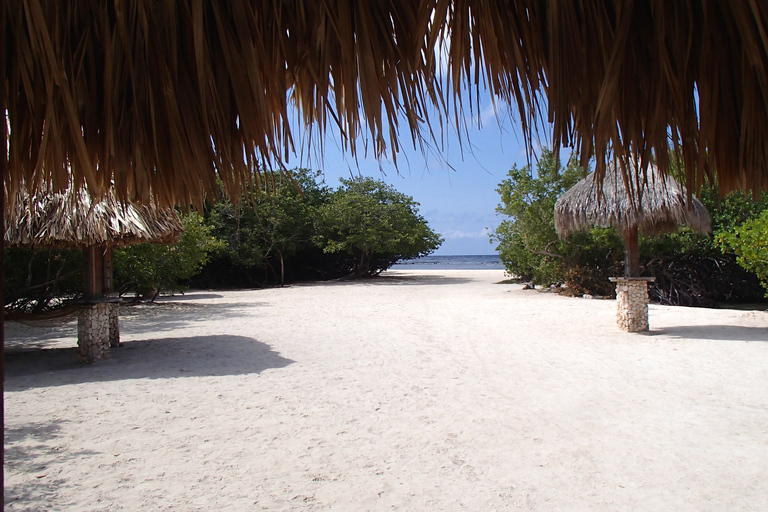 Aruba: excursion de plongée en apnée sur la plage