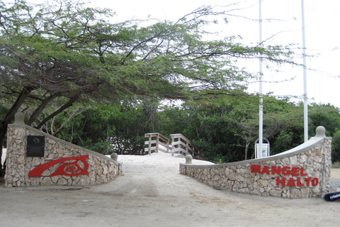 Aruba: excursion de plongée en apnée sur la plage