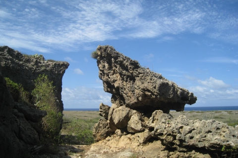 Aruba: wandeltocht Nationaal Park ArikokAruba: wandeltocht Nationaal park Arikok