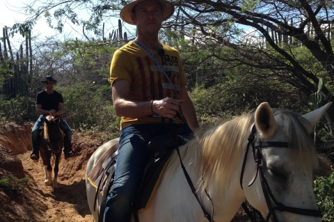 Aruba: Randonnée à cheval d'une heure et demie à Urirama Cove