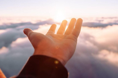 Geelong : Vol en montgolfière au lever du soleil avec petit-déjeuner