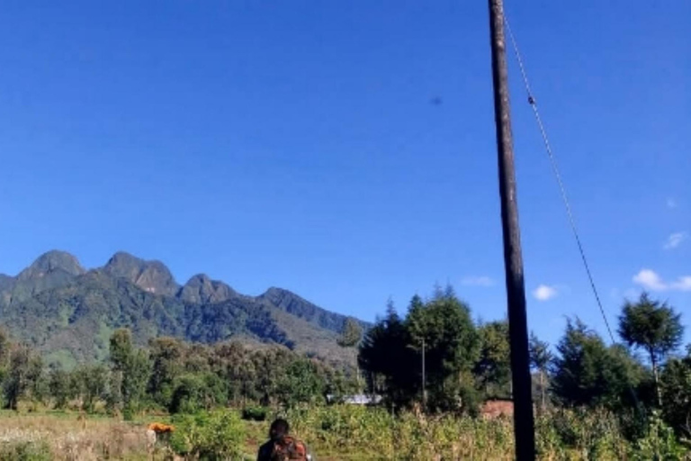 4 Day Rwanda Gorilla Trekking & Dian Fossey Tomb