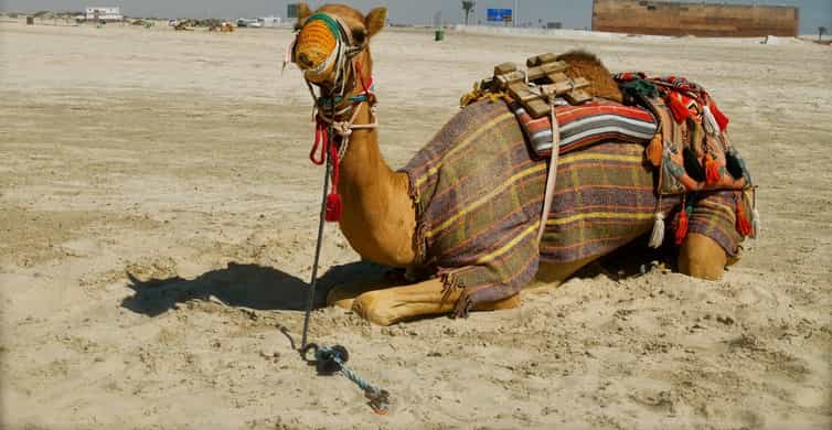 Doha: Dune Safari, Camel Ride, & Sandboarding with Transfer photo 20