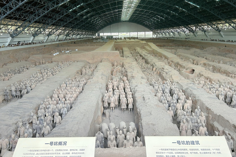 Xi'an Morning Terracotta Army Tour with Local Lunch Small Group Morning Terracotta Army Tour with Local Lunch