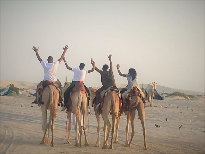 Doha Desert Safari Dune Bashing Camel Ride Sandboarding Getyourguide