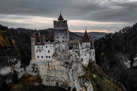 Bucharest: Transylvania Castles Tour with Dinner