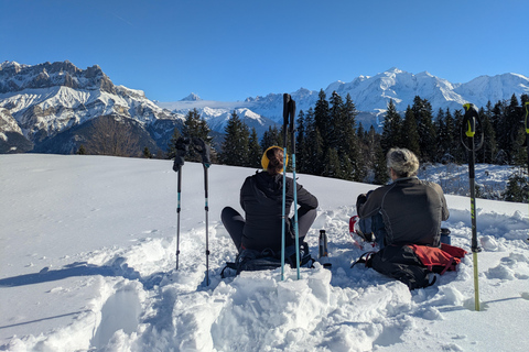 Chamonix: Guided Snowshoeing Tour with Equipment (4 people)