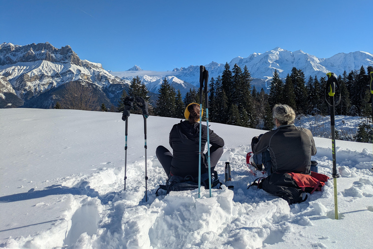 Chamonix: Guided Snowshoeing Tour with Equipment (4 people)