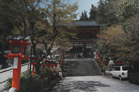 Kyoto Customisable Private Tour with a Local Guide