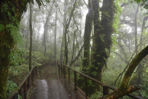 Doi Inthanon &amp; Kew Mae Pan: Natur, kultur och äventyr