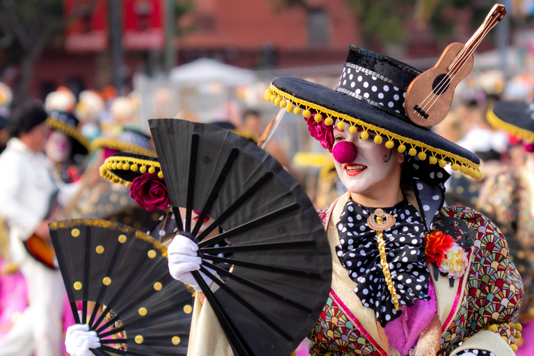 Excursion to the Santa Cruz de Tenerife Carnival Parade from Puerto de La Cruz
