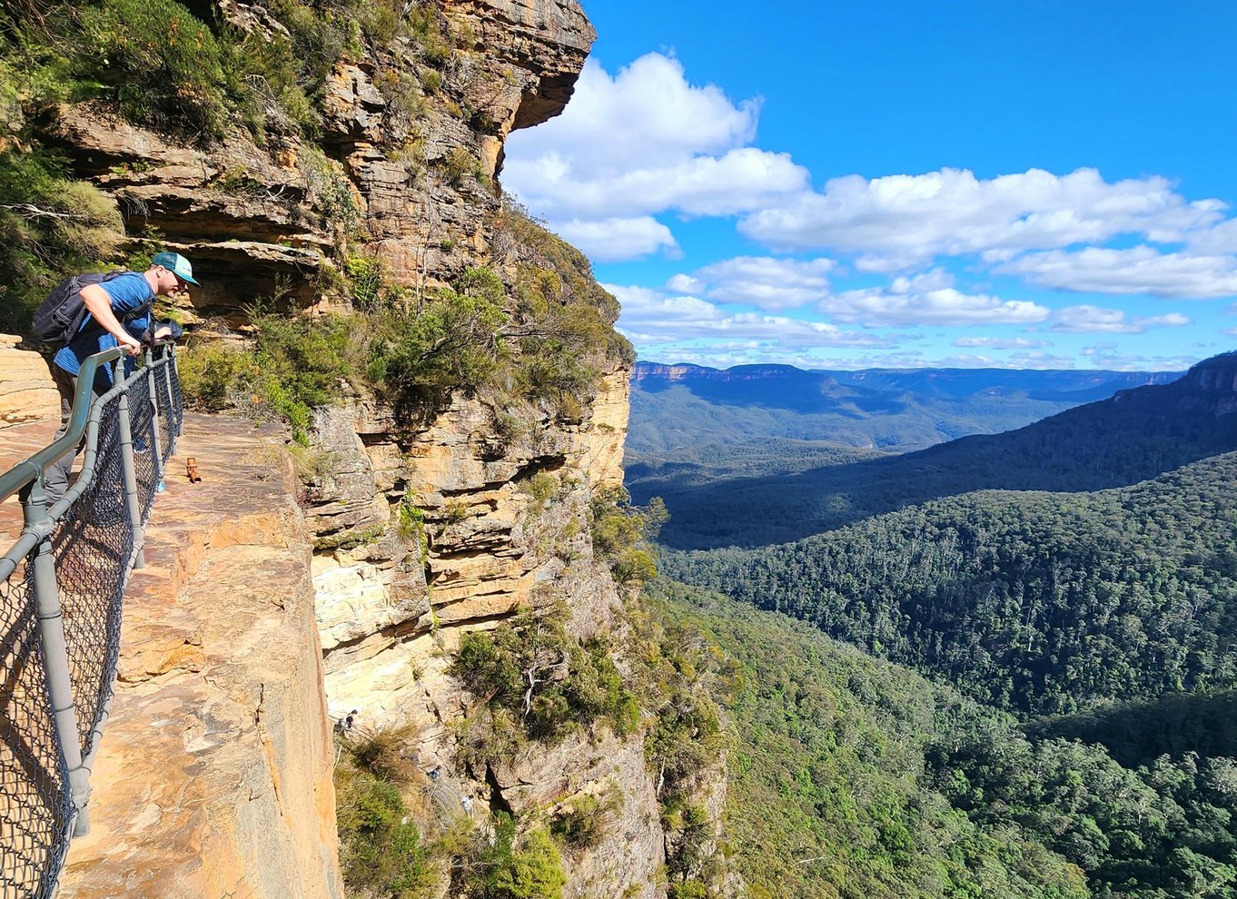 Fra Sydney: Blue Mountains-tur med vandfaldsvandring og frokost