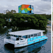 Surfers Paradise: Cruise, HOTA Gallery, & $30 Dining Credit