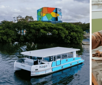 Surfers Paradise: Cruise, HOTA-galerij & dinerpas