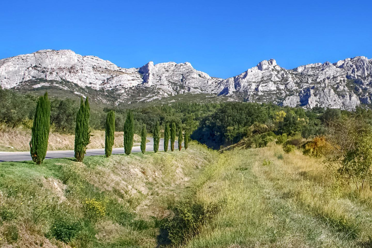 Alpilles: Discover vineyards and farms by electric bike