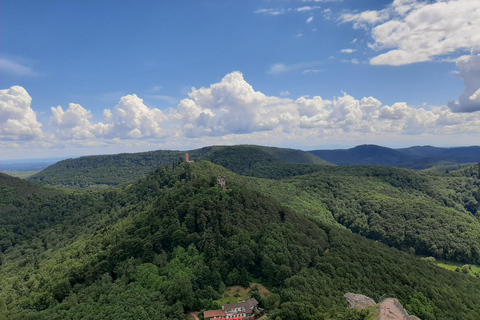 Annweiler and castle Trifels, 3 castles guided hiking tour