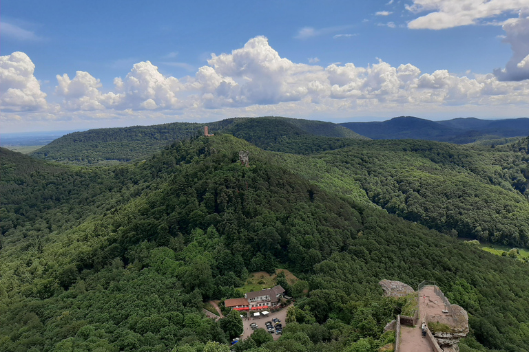 Annweiler and castle Trifels, 3 castles guided hiking tour