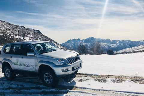 Calvi: Asco Valley 4x4 Day Tour with Guide