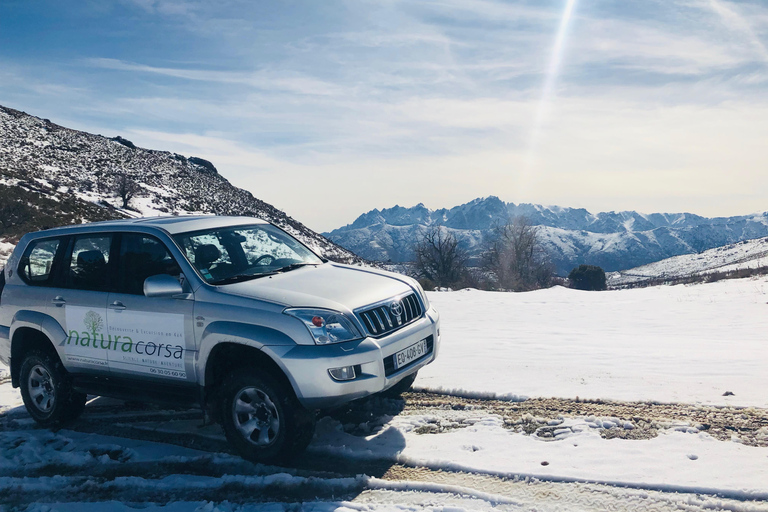 Calvi: Asco Valley 4x4 Day Tour with Guide