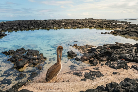 Galápagos: 5-Day Adventure on Isabela and Santa Cruz Islands