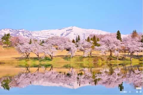 Niigata: Shore Excursion for Cruise Guests (Group) - Image 3
