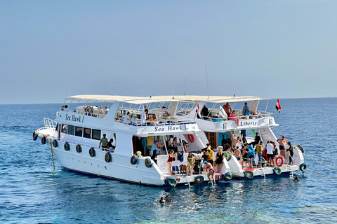 Sharm: Small Group White Island & Ras Mohammed Boat Cruise Small Group White Island & Transfer, without Snorkel Gear