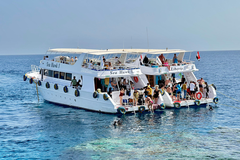 Sharm: Small Group White Island & Ras Mohammed Boat Cruise Small Group White Island & Transfer, without Snorkel Gear