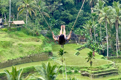 Ubud rice terrace, waterfall, and temple guided trip Bali