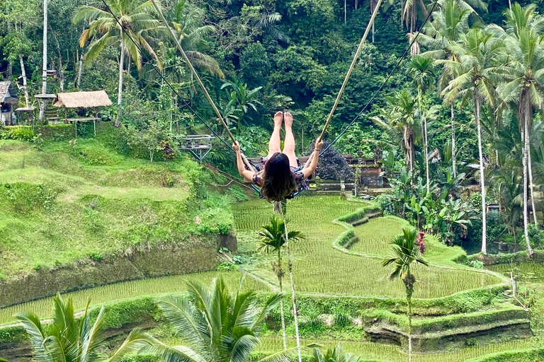 Ubud rice terrace, waterfall, and temple guided trip Bali