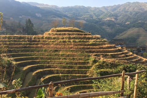 Longsheng Rice Terrace, Guilin - Book Tickets & Tours | GetYourGuide