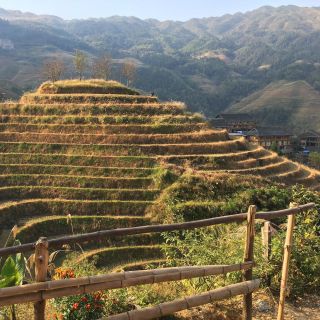 Guilin: 2-Day Longsheng Rice Terraces w/ Transfer & Hotel
