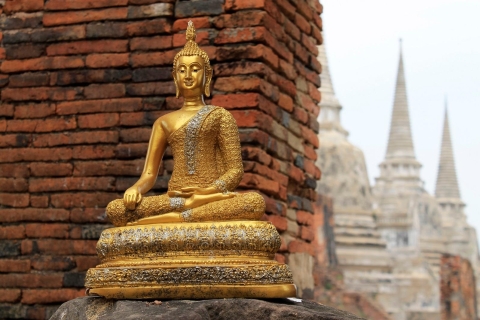 Z Bangkoku: całodniowa wycieczka do Ayutthaya z kierowcąPojazd Premium - samochód Toyota Alphard
