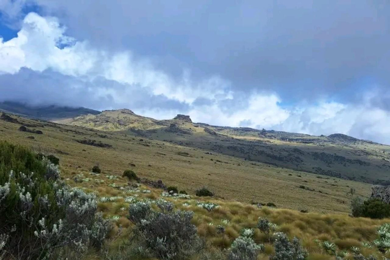 Von Nairobi aus: Mount Kenia 4-tägiges Wanderabenteuer