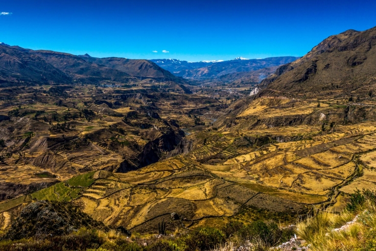 Colca Canyon: 2-Day Tour from Arequipa to Puno Small Size Group Tour