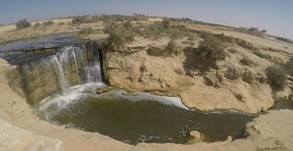 Cairo: Fayoum, Wadi El Rayan, and Wadi al Hitan 4x4 Tour
