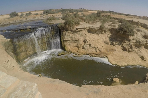 Le Caire : Fayoum, Wadi El Rayan et Wadi al Hitan en 4x4Visite privée sans billets et sans déjeuner