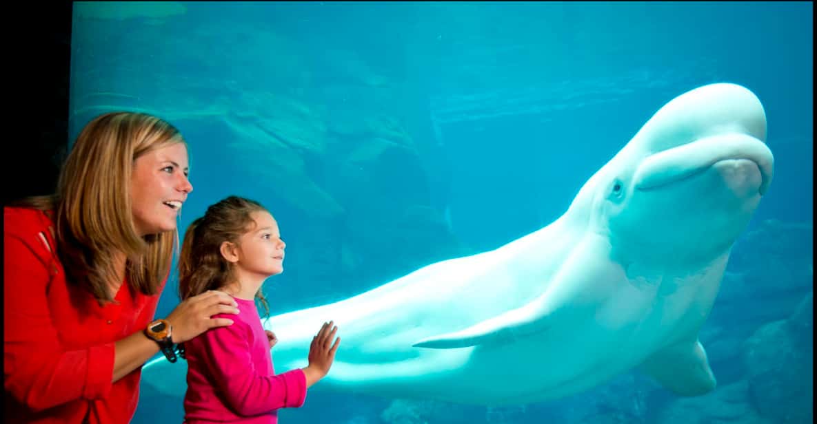 Acuario de Georgia: ticket sin colas de compra