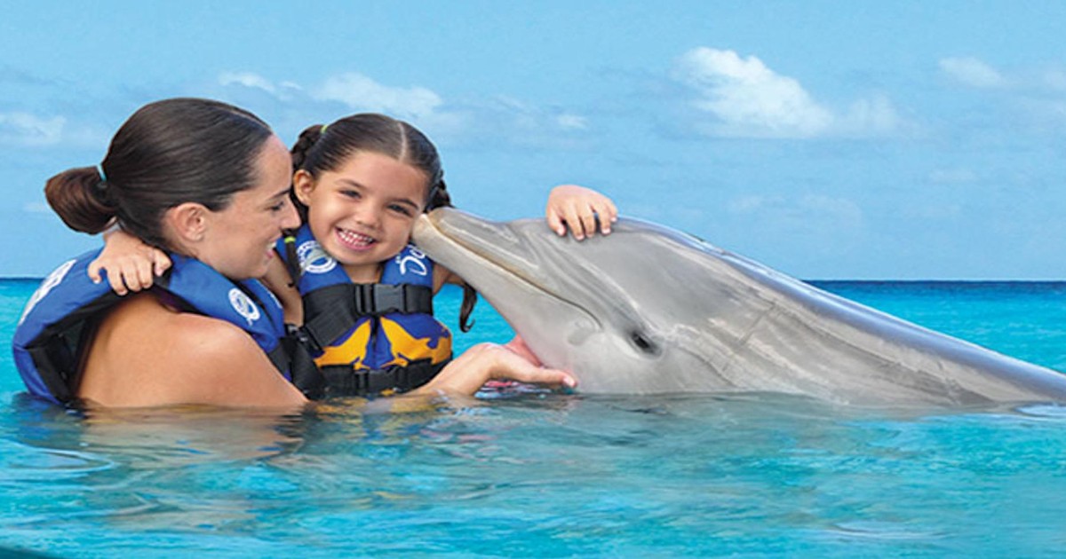 Удовольствие с дельфином. Плавание с дельфинами. Купание с дельфинами. Плавание с дельфинами дети. Дельфинарий в Мексике.