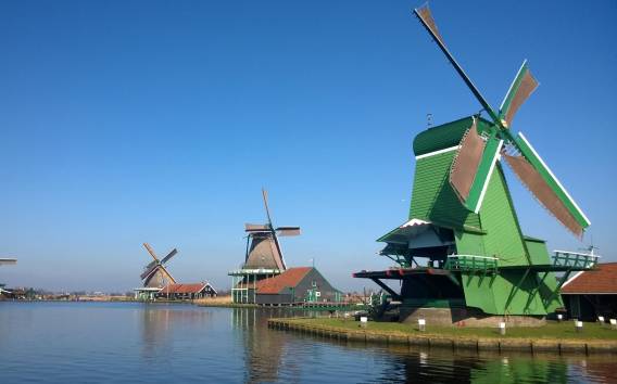 Amsterdam: Halbtägige Zaan Windmill Dinner Cruise