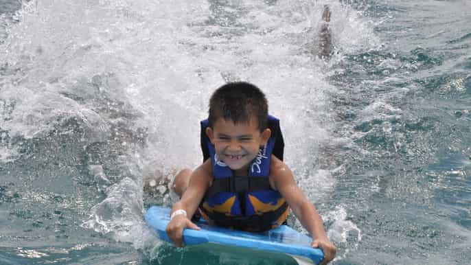 dolphin swim adventure from bayahibe