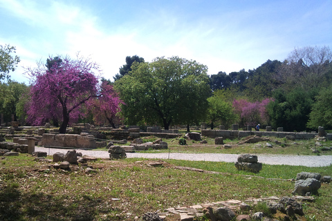 Visite guidée privée de l'ancienne Olympie