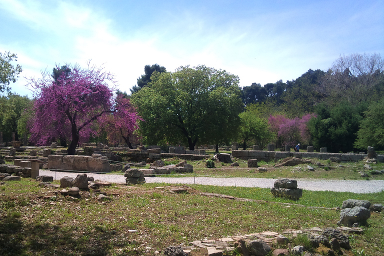 Visite guidée privée de l'ancienne Olympie