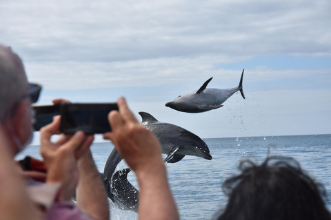 New: Into the Wild - 3H w/Marine Biologists - dolphins &more