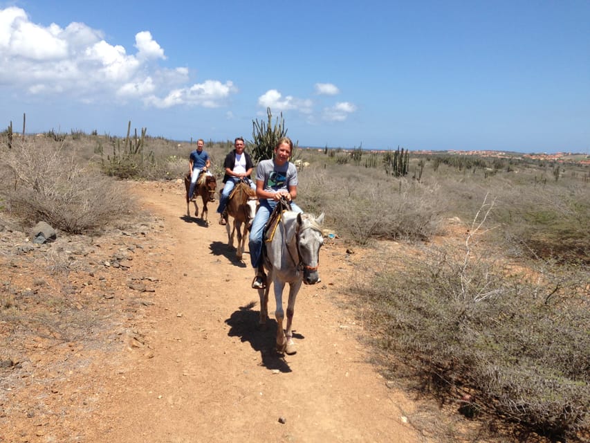 Aruba: 2,5 Hour Horseback Ride for Advanced Riders | GetYourGuide