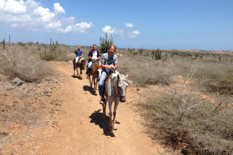 Aruba: balade à cheval de 3 heures pour cavaliers confirmés