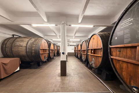 Traditional Cider House Tour | Calonge, San Sebastián