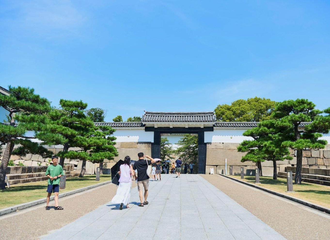 Osaka: Entré til slotstårnet / guidet byvandring