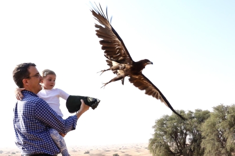 Dubai: Private Falconry Safari Dubai: Private Falconry Safari with Luxury Breakfast
