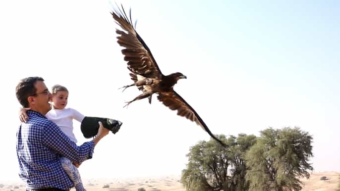 dubai private falconry safari